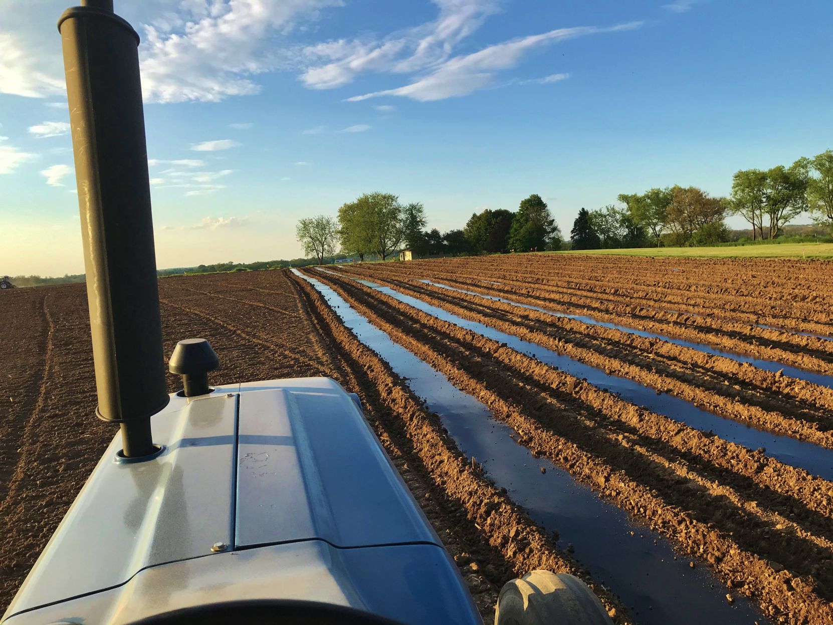 Plastic laid in vegetable field